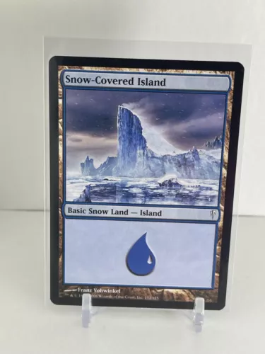 Snow-Covered Island