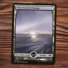 Snow-Covered Swamp