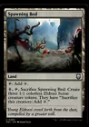 Spawning Bed