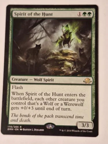 Spirit of the Hunt