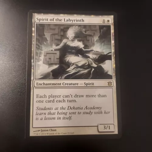 Spirit of the Labyrinth