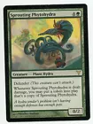 Sprouting Phytohydra