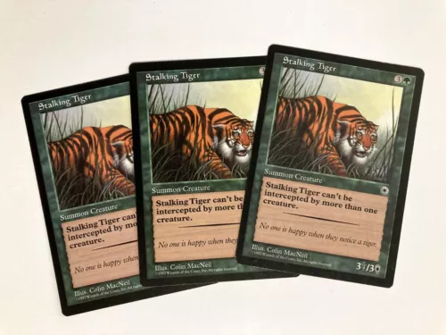 Stalking Tiger