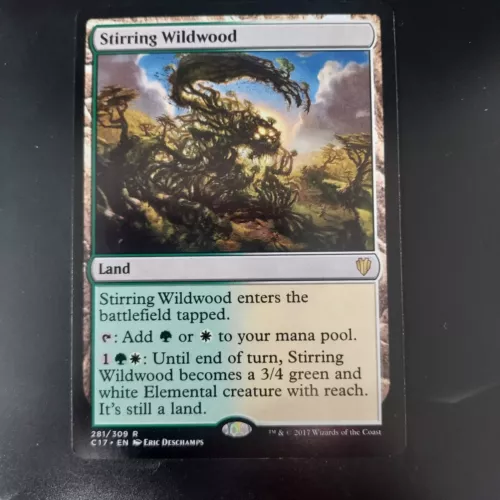 Stirring Wildwood
