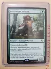 Stonehoof Chieftain #