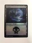 Swamp