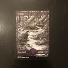 Swamp #