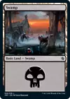 Swamp