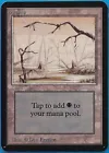 Swamp
