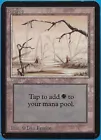 Swamp