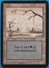 Swamp