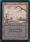Swamp