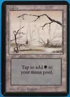 Swamp