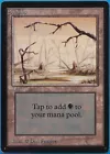 Swamp