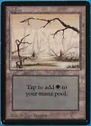 Swamp