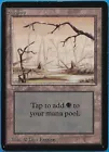 Swamp