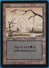 Swamp