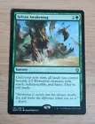 Sylvan Awakening