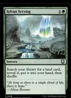Sylvan Scrying