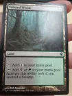 Tainted Wood