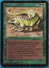 Thicket Basilisk