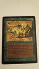Thicket Basilisk
