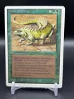 Sylvan Basilisk