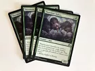 Thornhide Wolves