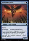 Thrummingbird #