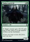 Timberwatch Elf
