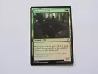 Timberwatch Elf