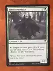 Timberwatch Elf