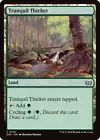 Tranquil Thicket #