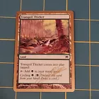 Tranquil Thicket