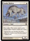 Tundra Wolves