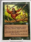 Uktabi Orangutan