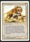 Savannah Lions