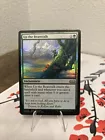 Evolving Wilds