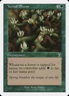 Vernal Bloom