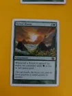 Vernal Bloom