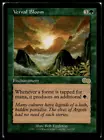Vernal Bloom