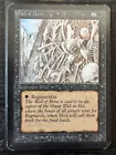 Wall of Bone