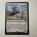Weathered Wayfarer