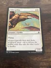 Wild Griffin