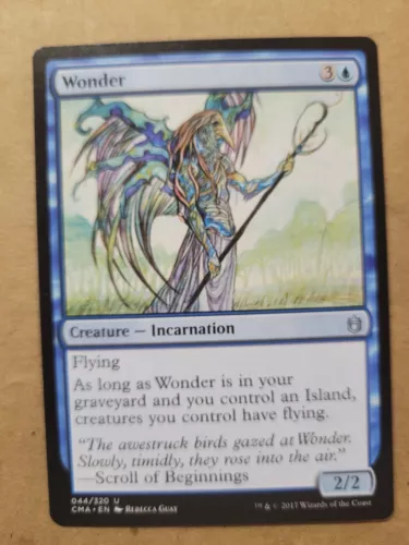 Wonder #