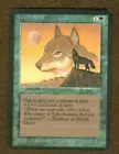 Wyluli Wolf