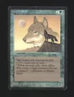 Wyluli Wolf