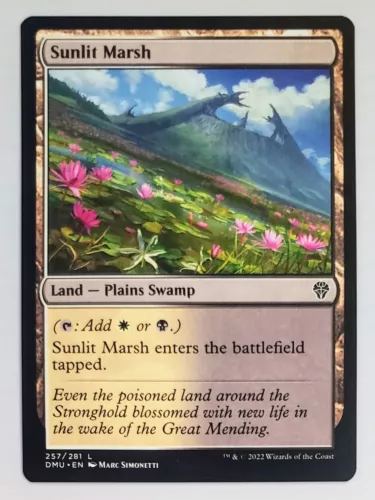 Sunlit Marsh #