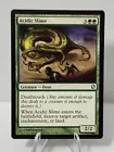 Acidic Slime
