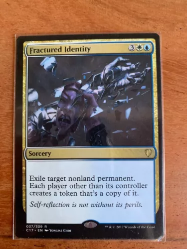 Fractured Identity
